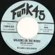 Walking On The Moon / Did You See Those Me
